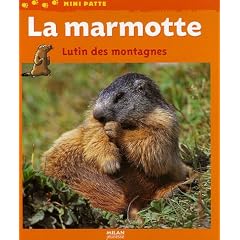 La marmotte : Lutin des montagnes