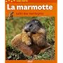 La marmotte : Lutin des montagnes de Val�rie Tracqui