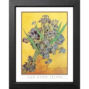 Vincent Van Gogh Irises Vase Flower Picture Framed Art Print