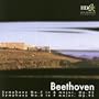 Symphony No. 7 In A Major, Op. 92: II Allegretto