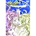 Simoun(�V���[��) 9 [DVD]