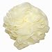 Personal Health Care : Earth Theraputics Hydro Body Sponge with hand strap (sponge)