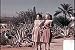 1940 - 1952 Southwest & Western United States Films DVD: Vintage US Southwestern Region Clothing, Art, Culture, Clothes, Crafts & Indians