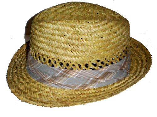 Straw Fedora with Brown Plaid Band