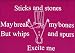 Sticks and stones may break my bones but whips and spurs excite me' skinni fit tee Fuchsia, one size