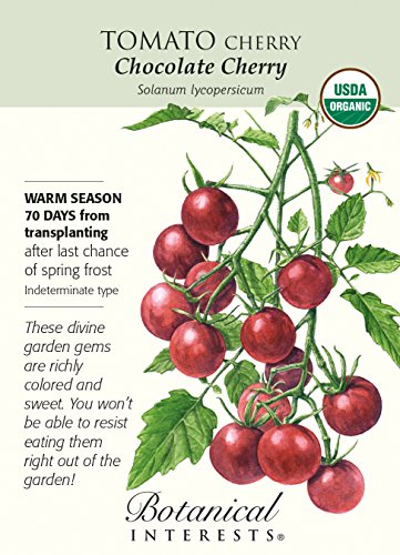 Organic Chocolate Cherry Tomato - 20 Seeds Organic Chocolate Cherry Tomato - 20 Seeds