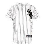 MLB Men's Chicago White Sox Alexei Ramirez White/Black Pinstripe Home Short Sleeve 6 Button Synthetic Replica Baseball Jersey Spring 2012  (White/Black Pinstripe, Large)