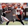Chad Johnson Autographed Stiff Arm 16X20 Photograph Sports Football