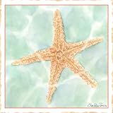 Green Frog Art 6X6 Canvas Gallery Wrapped Art, Ocean Starfish