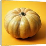 Box Canvas Print of Pumpkin from Science Photo Library