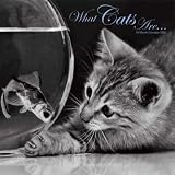 What Cats Are 2009 Wall Calendar 12 X 12