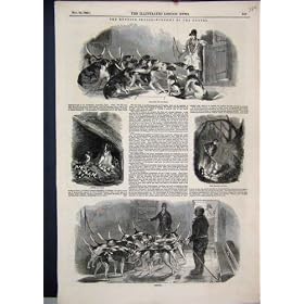 1849 Hunting Season Feeding Dogs Puppies Antique Print