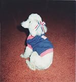 Joybies Patriotic T Shirt for Male or Female X Small Dog (Measuring 11-13 From Collar to Base of Tail)