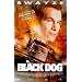 Black dog