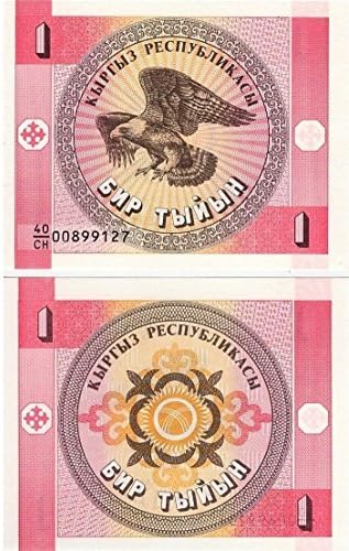 Kyrgyzstan 1 TYIYN 1993 p1 UNCIRCULATED PAPER MONEY BANKNOTE