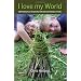 Inspiring ideas for outdoor play