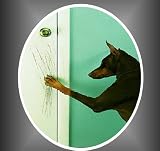 Soft Claws Paws for DOGS canine 40-70 lbs XXL CLEAR natural