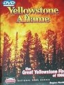 Yellowstone Aflame
