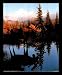 Animal Alaska Moose Big Rack Sunset Framed Art Poster Print - 16" X 20"