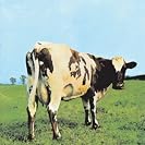  Atom Heart Mother