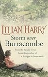Storm over Burracombe