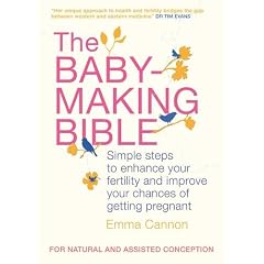 The Baby-Making Bible: Simple steps to enhance your fertility and improve your chances of getting pregnant