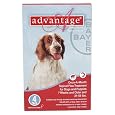 4 MONTH Advantage Flea Control Red: For Dogs 21-55 lbs.