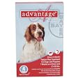 Advantage - Red Box for Dogs 21-55 pounds - 4 count