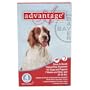 Advantage Flea Control for Dogs, 21-55 lbs Red, 4 Month