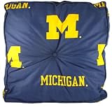 Michigan Floor Pillow