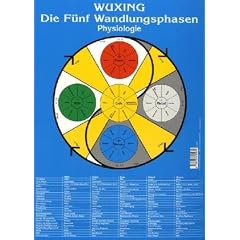 Die F�nf Wandlungsphasen: Physiologie: Lehrtafel in A4