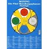 Die F�nf Wandlungsphasen: Physiologie: Lehrtafel in A4