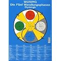 Die F�nf Wandlungsphasen: Physiologie: Lehrtafel in A4