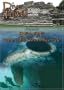 Dive Travel  Belize Home of the Famous Blue Hole