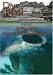 Dive Travel  Belize Home of the Famous Blue Hole