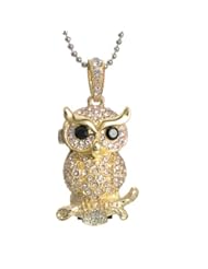 xhorizon Bling Crystal Gold Owl Pendant USB 2.0 Flash Drive Memory Stick(16GB)