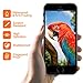 iPhone 5S Screen Protector, COCOCAT [Tempered Glass][with Easy Installation Tool] 0.15mm Ballistic Glass iPhone5S/5/5C/SE Glass Screen Protector Work with iPhone 5S/5/5C/SE andProtective Case
