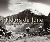 Fleurs de lune : La vegetation afroalpine du Rwenzori