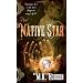 Steampunk and Gaslight Romances - Some with a Touch of the Paranormal