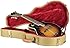 Guardian CG-035-MA Archtop Tweed Case, Mandolin