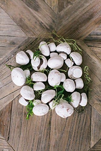 Handmade Meringue Mushrooms - 2 Packs of 20