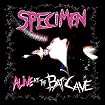 Alive At The Batcave