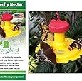 Songbird Essentials Butterfly Feeder and Nectar Combo