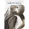 2008 ALA Best Books for Young Adults (Non-Fiction)
