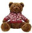 Aeropostale 16" Collectible Plush Bear Aeropostale 16" Collectible Plush Bear