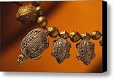 A Necklace Of Gold Turtles Canvas Print / Canvas Art - Artist Randy Olson
