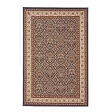 Radici USA Noble V 5 x 8 Navy Area Rug