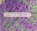 ENGLISH LAVENDER Lavandula Angustifolia --- 10 Herb Seeds