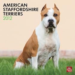 American Staffordshire Terriers 2012 Wall Calendar 12" X 12"