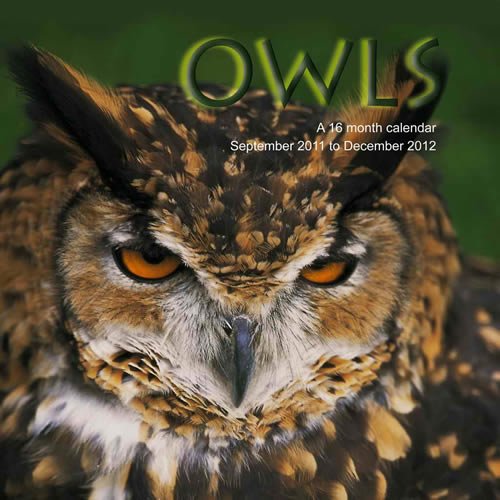 Owls 2012 Wall Calendar #ANM10